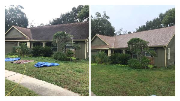 Lakeland roof washing
