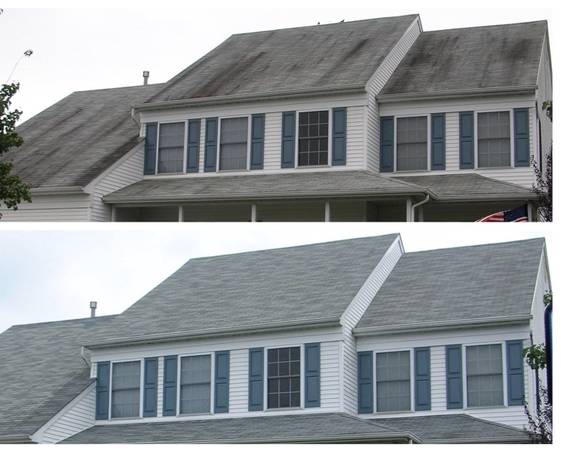 Roof cleaning lakeland florida