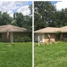 Roof Cleaning in Tampa FL