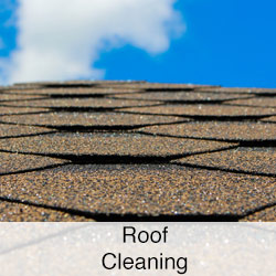 Roof Cleaning